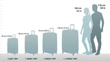 DELSEY Paris Luggage Chatelet Hard+ Carry On Spinner Suitcase Hardcase with Lock, Champagne